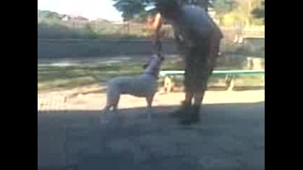 Видео007