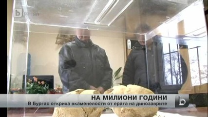 Вкаменелости от ерата на динозаврите - в бургаски квартал