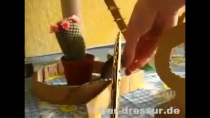 Дресирана мишка
