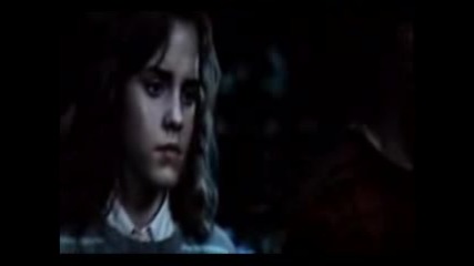 Harry And Hermione - Comatose