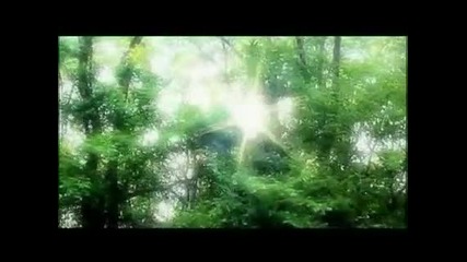 Тони Димитрова - Там, край бавната река