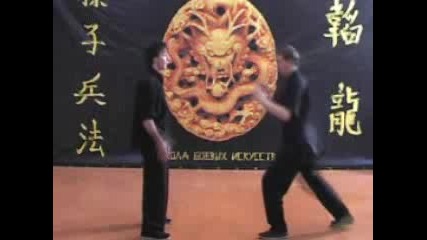 Tai Chi Chuan Техники