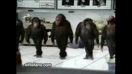 Танц На Маймуните 