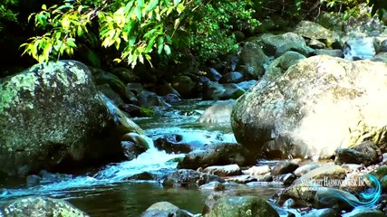 Relaxing Music Video: Angel Kisses - J.michele Bodine Hawaii 