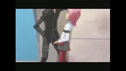 Shugo Chara Bleeding Love Amu X Ikuto