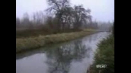 Патици Се Пързалят По Лед