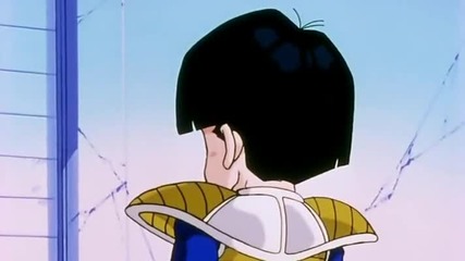 Dragon Ball Z - 100