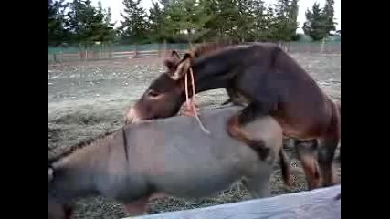 не го прави пред детето - смеех