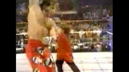 Wwe Shawn Michaels