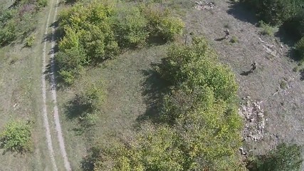 Еърсофт в Понор