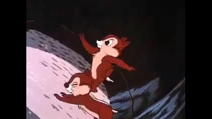 Donald Duck - Up a Tree 