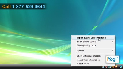 Remove quarantined viruses using avast!™ Free Antivirus from Windows® Vista