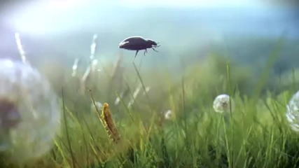 Фолксваген Лекотоварни Черно Beetle 