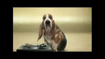 Куче Прави Beatbox