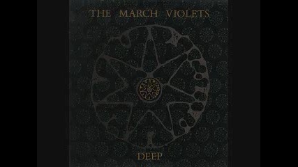 March Violets - the deep