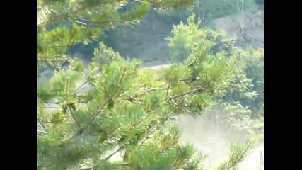 Rally Bulgaria 2009