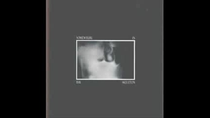 Paranoid - Parasite 