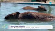 Различният зоопарк: Екосъобразно пространство за различни видове животни - „На кафе“ (18.06.2025)