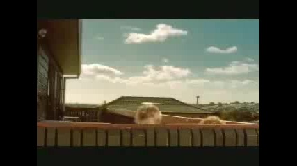 Funny Commercial