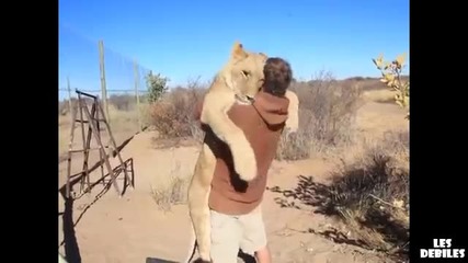 Лъвица прегръща стопанина си