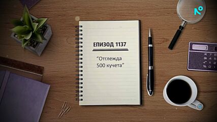 Съдебен спор | Епизод 1137 | Отглежда 500 кучета | 25 януари 2026