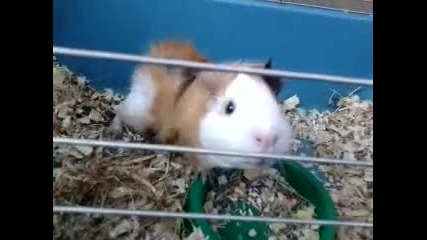 Това е сладкотоо ми Мишлеее!джонииии!!!!! :*