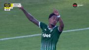 Doelpunt Ludogorets Razgrad PFK