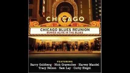 Chicago Blues Reunion - Drinking Wine 