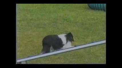 Agility Promo