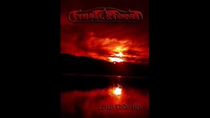 Finsterforst - ...zum Tode hin ( full album 2009 ) folk metal Germany