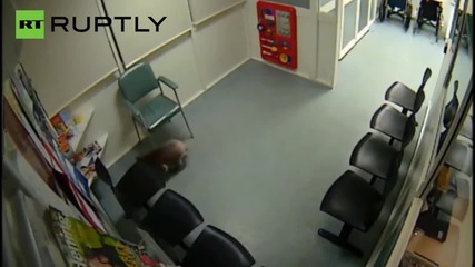 Любопитна коала влиза в австралийска болница