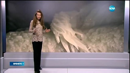 Прогноза за времето (12.01.2016 - централна)