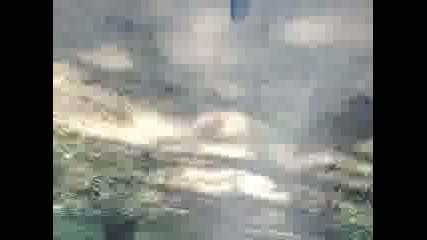 freeride
