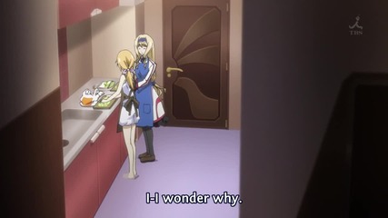 Infinite Stratos Season 2 Episode 10 Eng subs