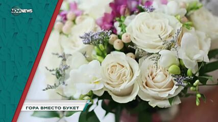В "Социална мрежа" на 27 април ще видите
