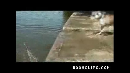 Колко пъти,колко пъти-един ли сто ли.