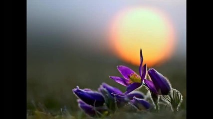 Lionel Richie - Hello