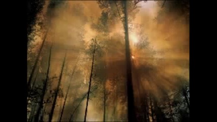 Fonzerelli - Spirit Original Mix ) 