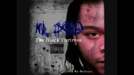 Mr. Sche - Mysterious Ways