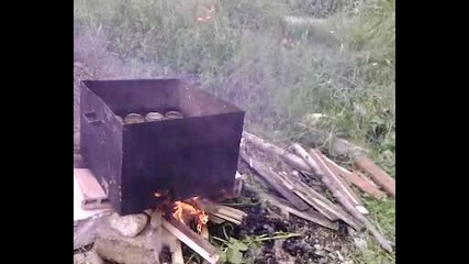 Компот от кайсии