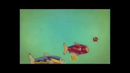 Your Love Is My Drug - Kesha - (official Music Video ) |hd| 