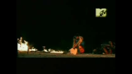Yeah Yeah Yeahs - Gold Lion