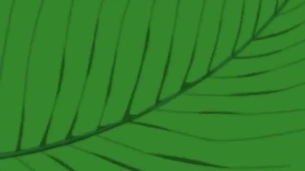 Fairy Tail Opening 1