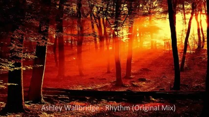Ashley Wallbridge - Rhythm Original Mix