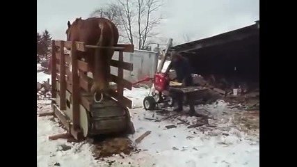 Руският гений! Ето така се цепят дърва !