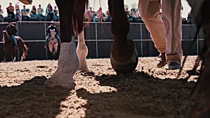 Секретариат – конят легенда - Великият понеделник по KINO NOVA