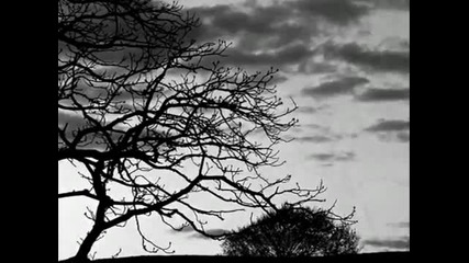 Antonio Vivaldi - Autumn