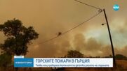 ОГНЕНО БЕДСТВИЕ: Нови огнища край Александруполис