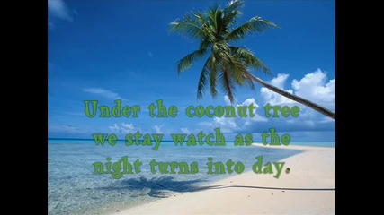 Mohombi ft. Nicole Scherzinger - Coconut Tree - Lyrics On Screen 