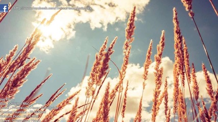H O U S E - Jay Flora - Bliss ( Original Mix )